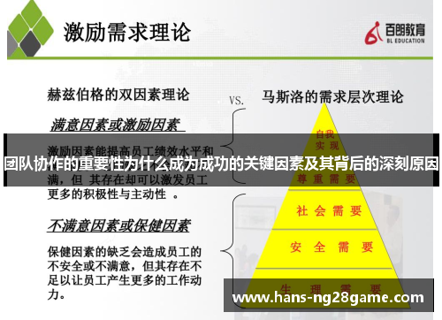 团队协作的重要性为什么成为成功的关键因素及其背后的深刻原因