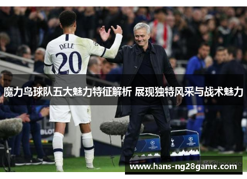 魔力鸟球队五大魅力特征解析 展现独特风采与战术魅力